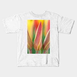 Tulipa clusiana var. chrysantha  AGM  Golden lady tulip Kids T-Shirt
